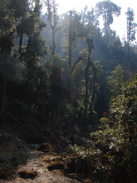 Fort