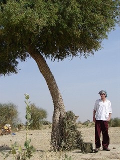 Julien sous un arbre dans le dsert
